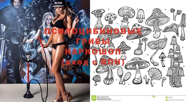прущий лед Горно-Алтайск
